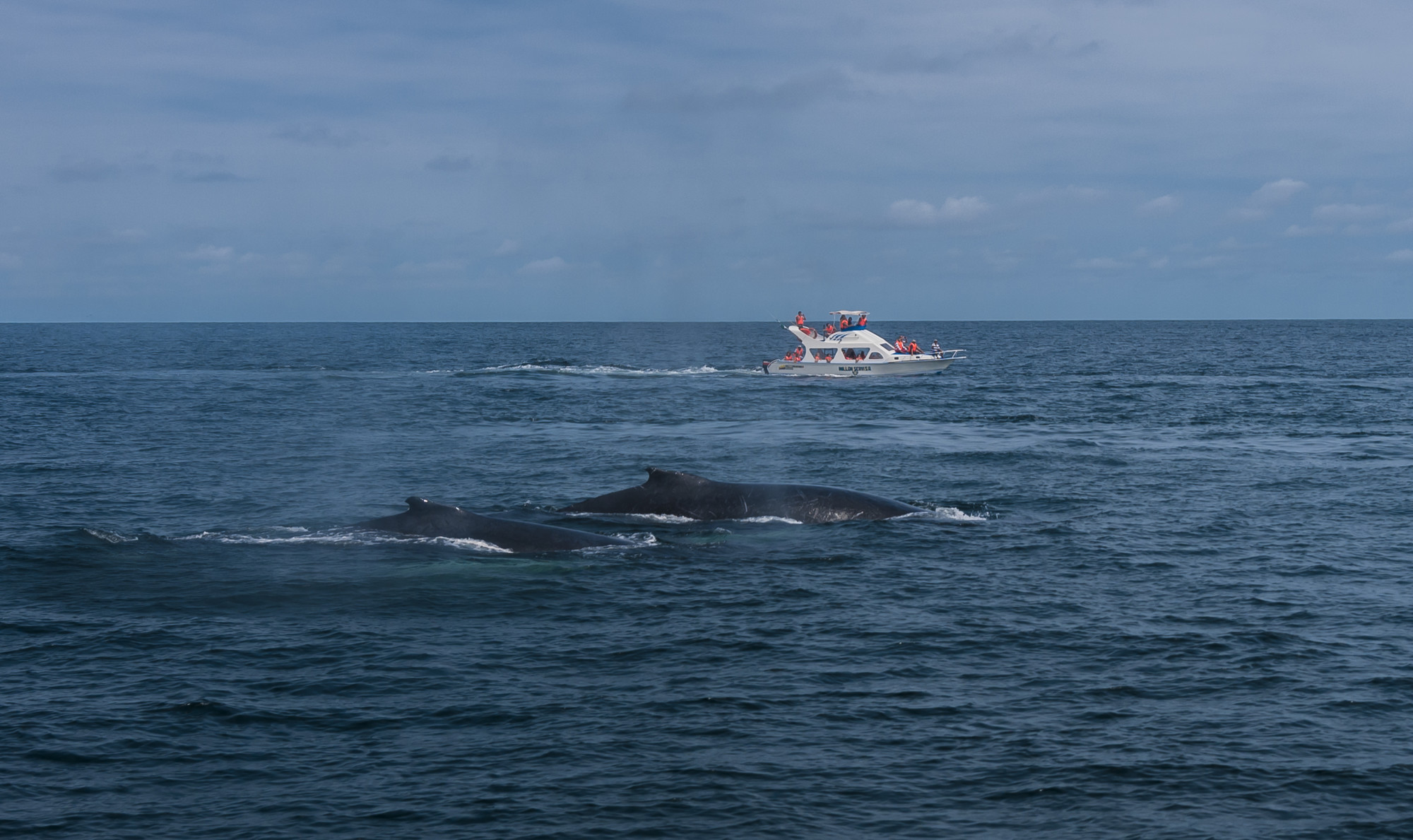 24062014-Ecuador-008