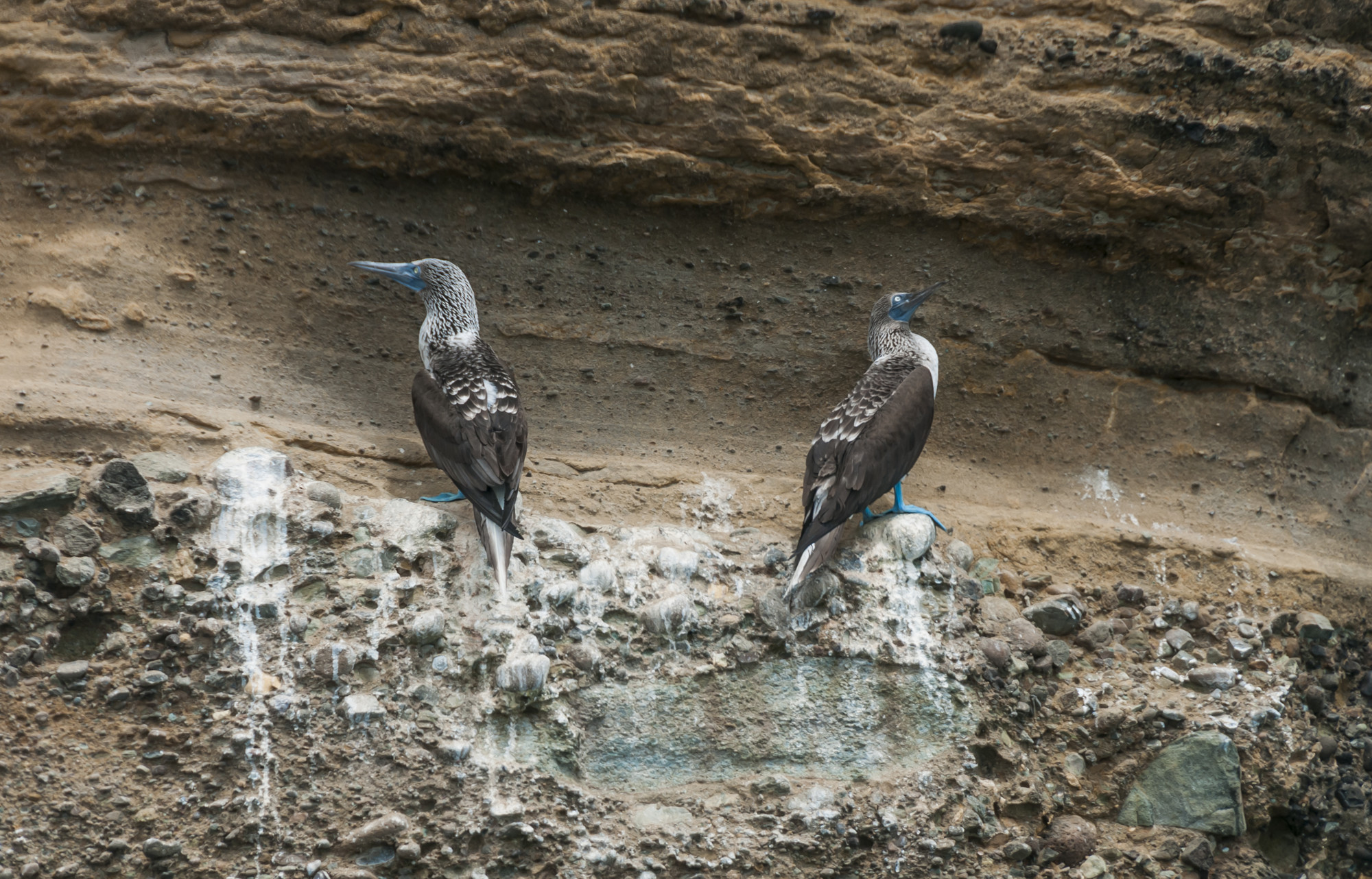 24062014-Ecuador-014