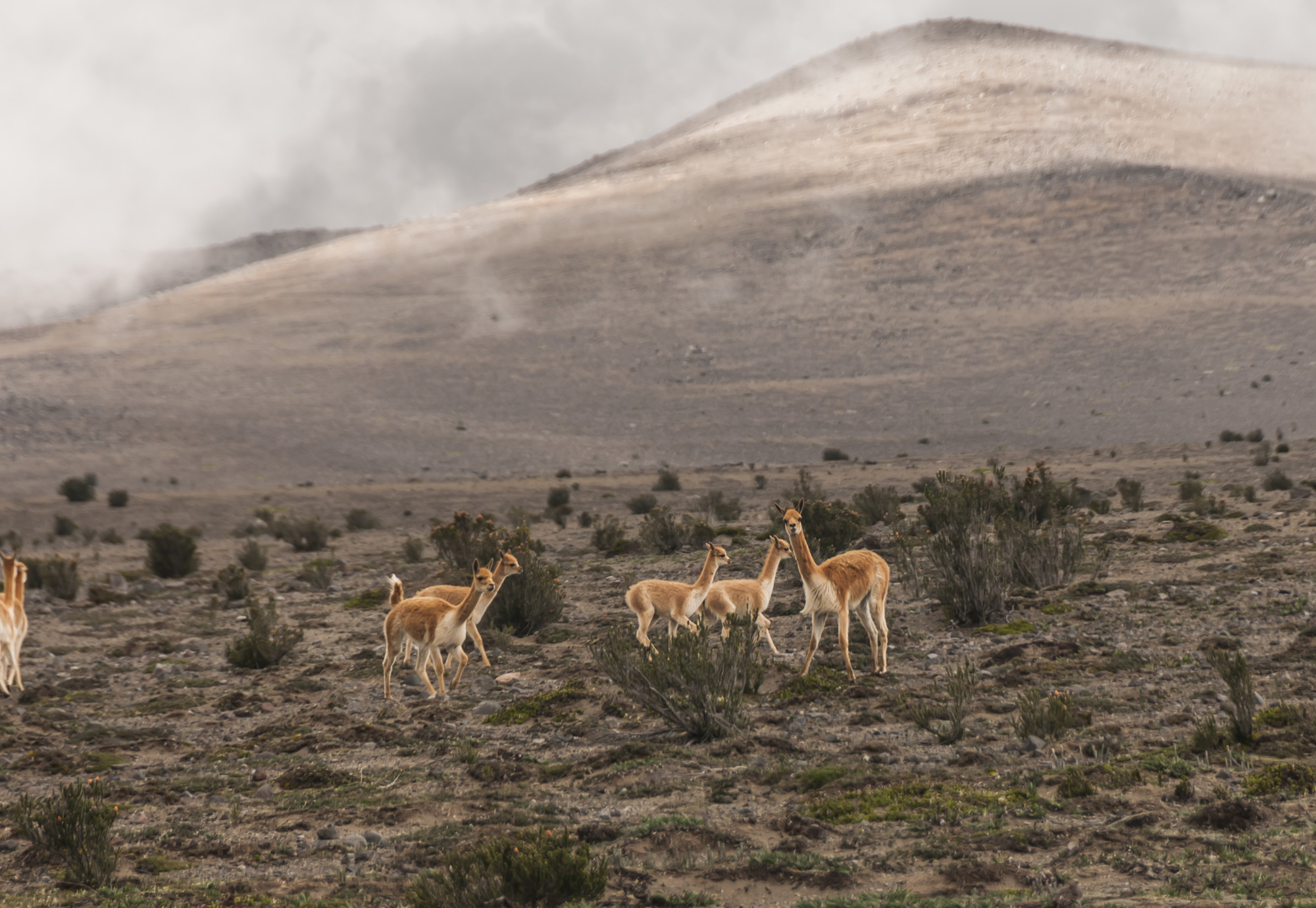 27062014-Ecuador-011