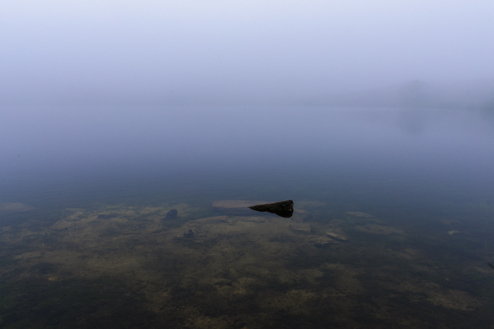 2019-Laguna de los venados-002