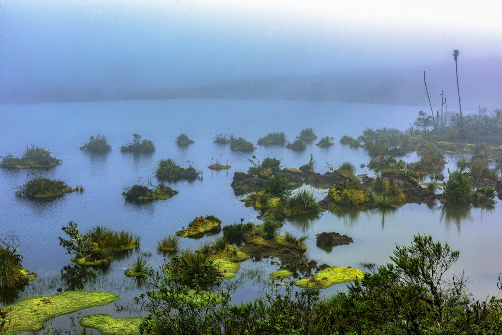 2019-Laguna de los venados-003