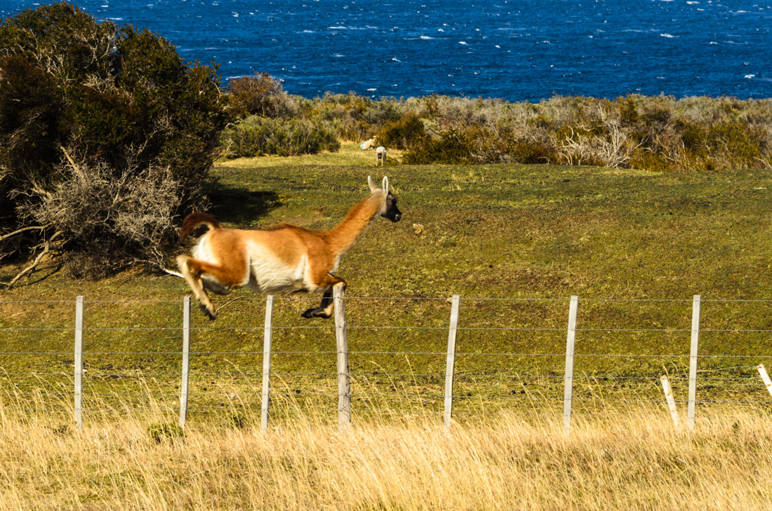2018-patagonia-017